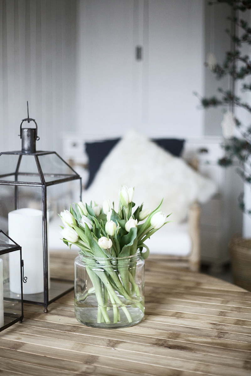 tulips 1