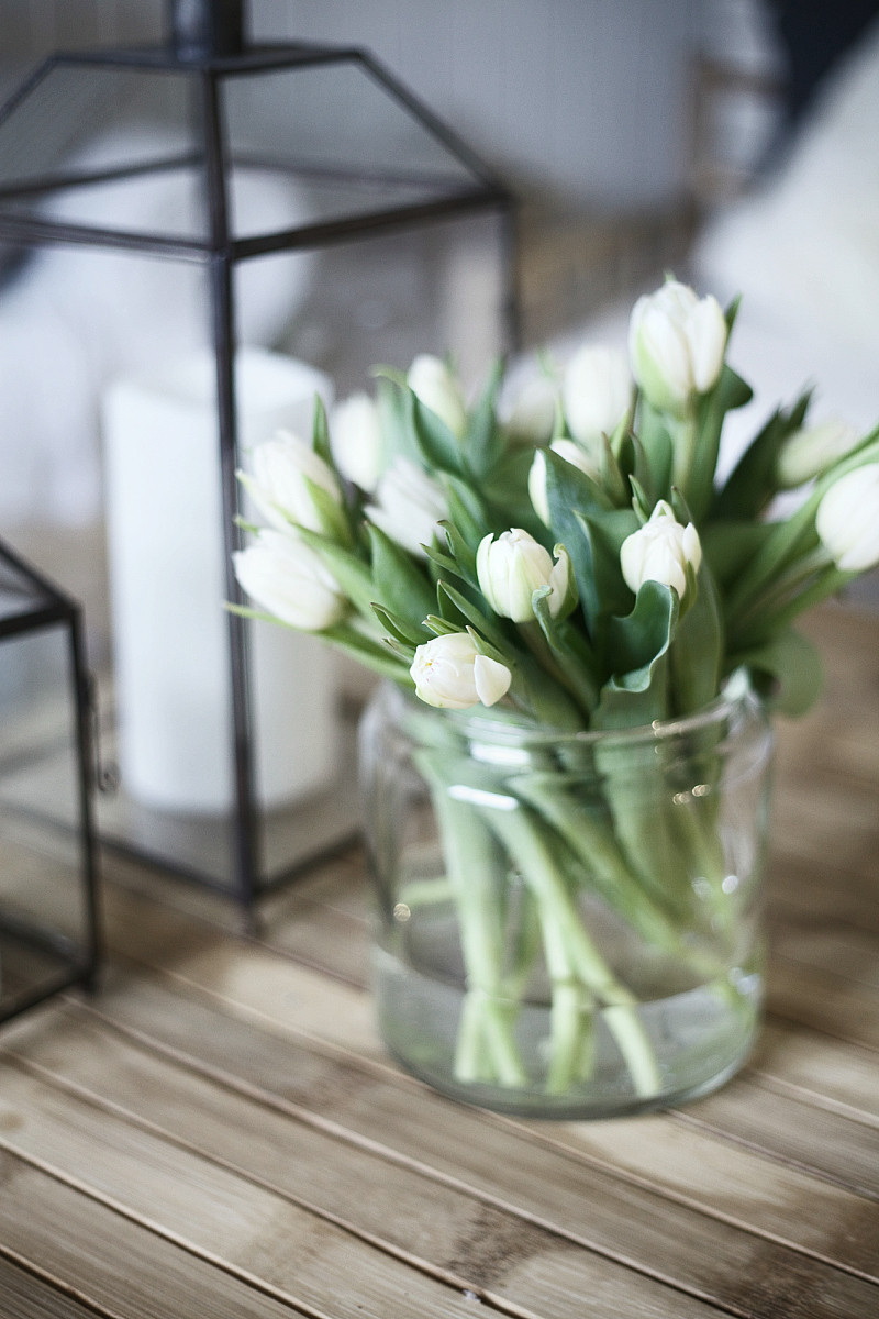 tulips 2