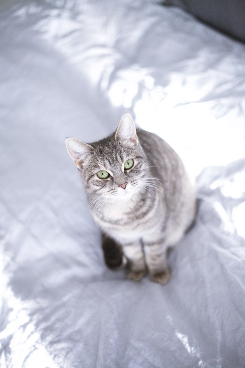 aurinko9