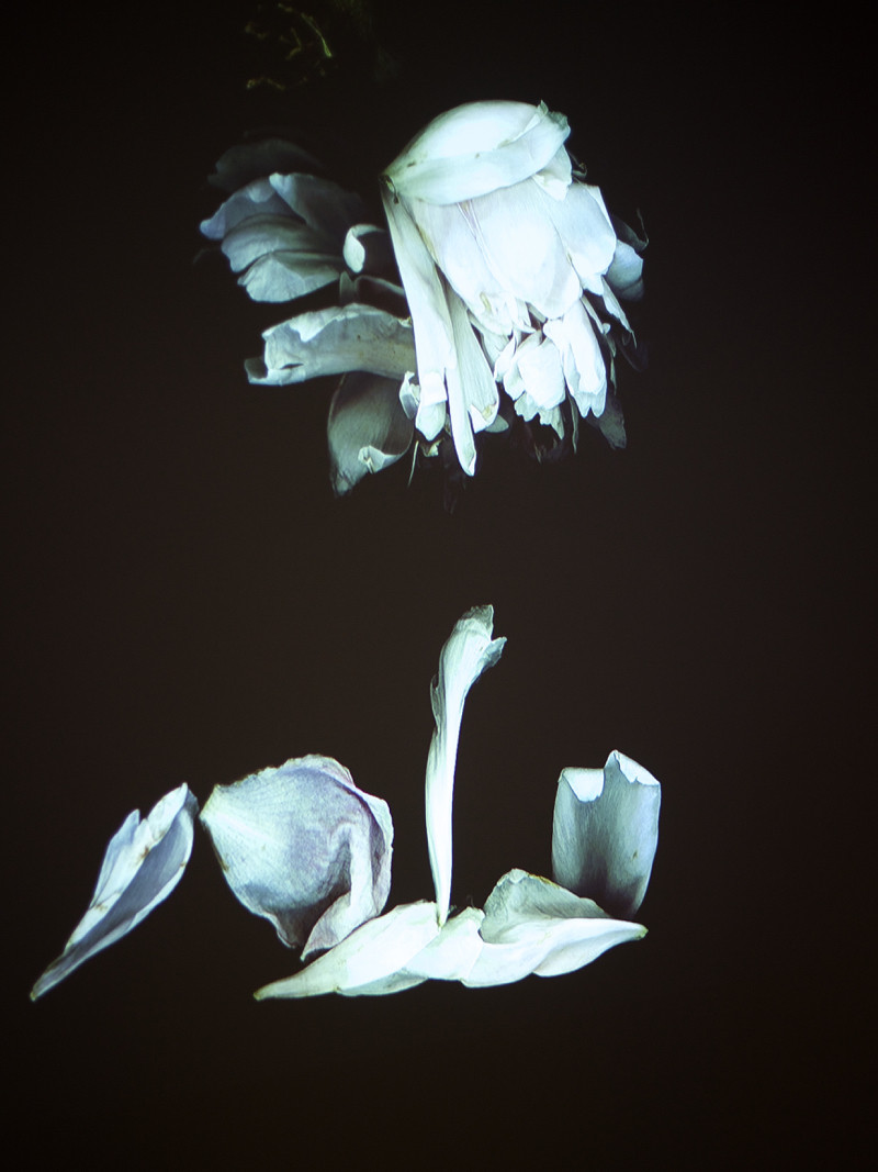 iittalaxisseymiyake 1