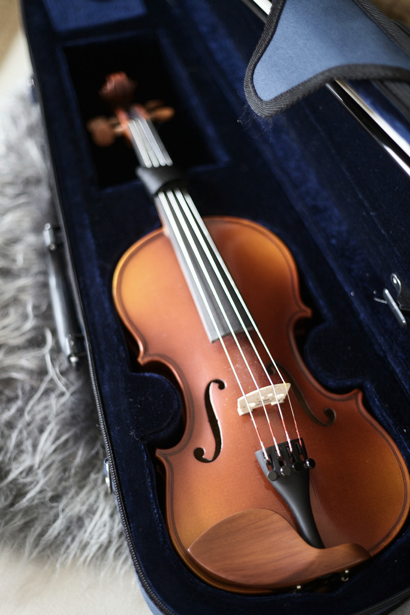 violin