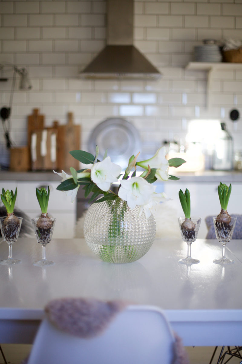 Eightmood Flora 1