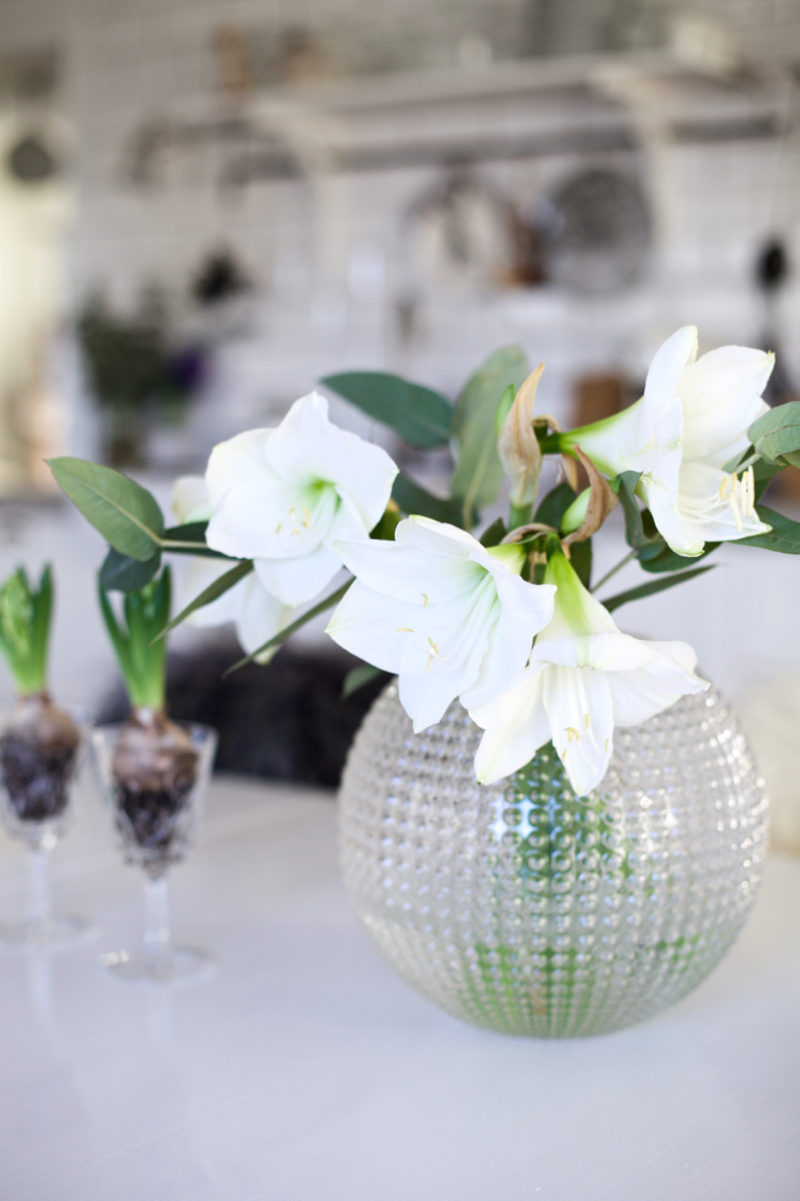 Eightmood Flora 2