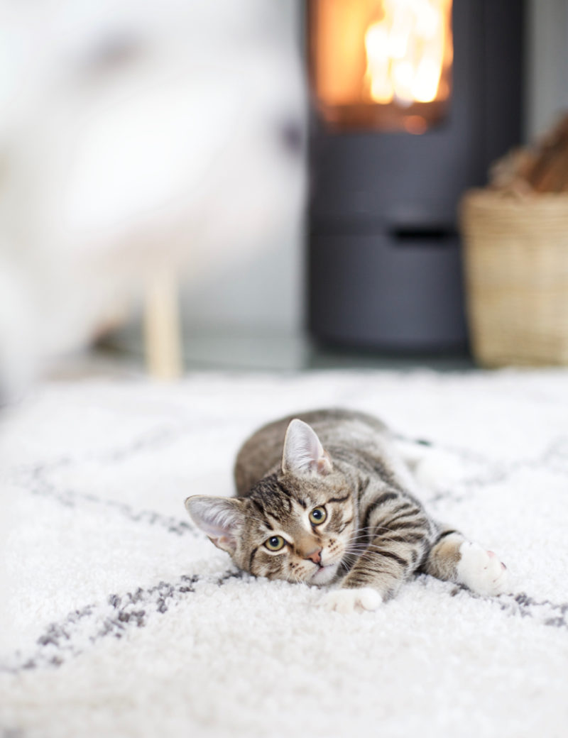 cozy sunday 9