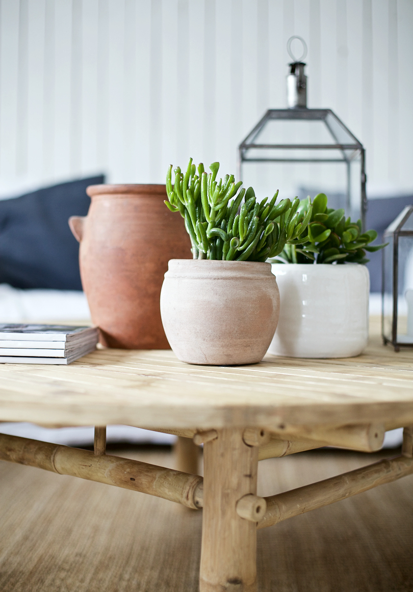 plants and pots 2