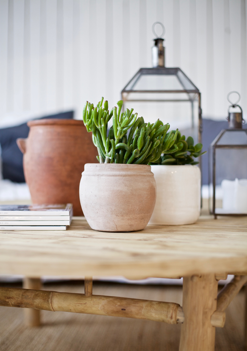 plants and pots 4