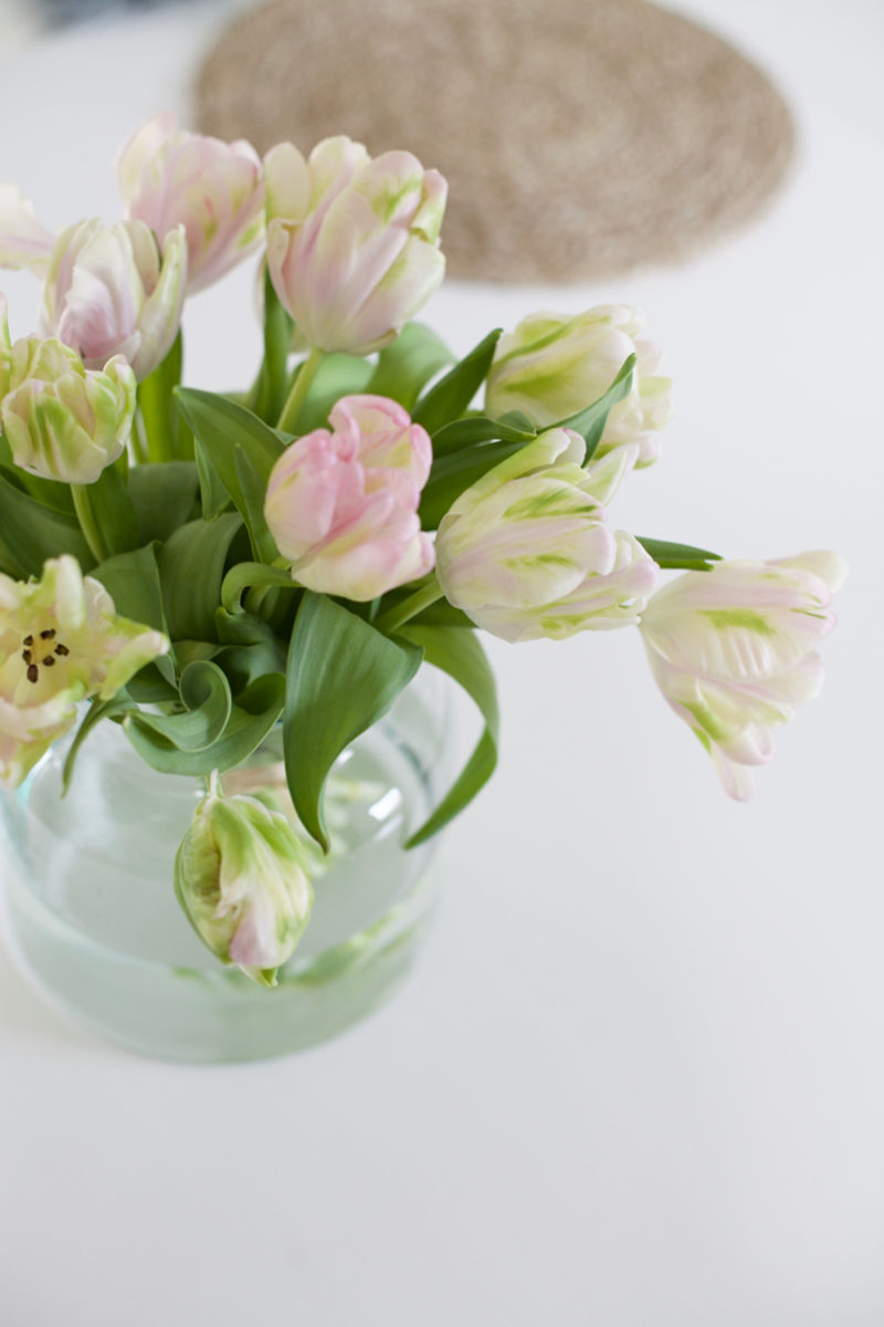 springtime 10